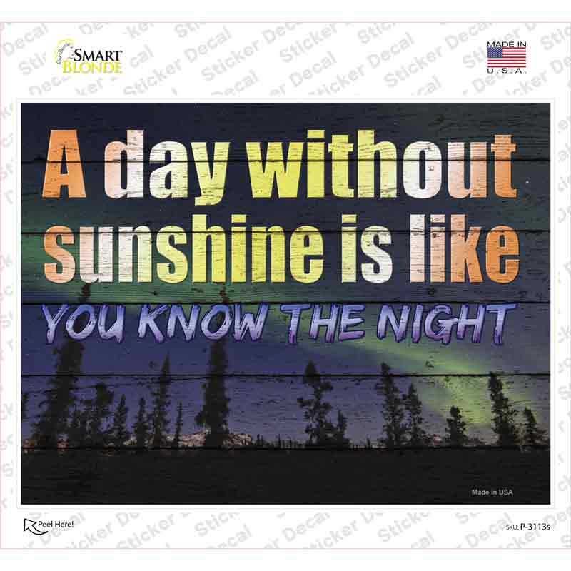 P-3113s-M A Day Without Sunshine is Like Novelty Rectangle Sticker Decal - Medium