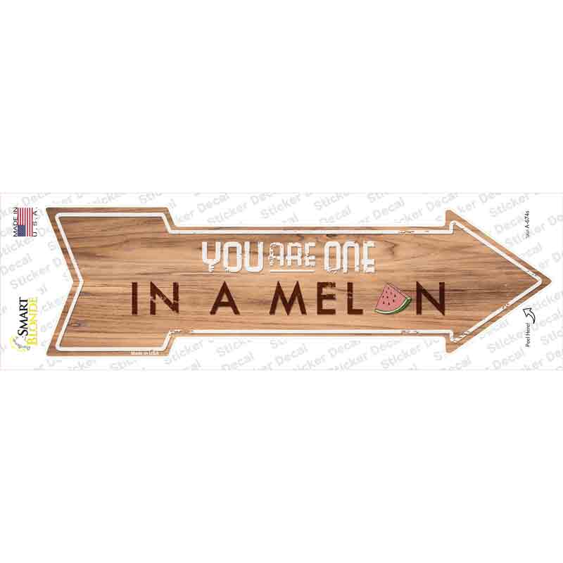 A-674s-M One in A Melon Novelty Arrow Sticker Decal - Medium