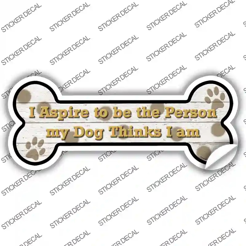 B-174s-S I Aspire to Be Novelty Bone Sticker Decal - Small