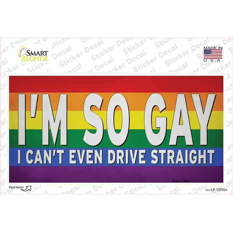 LP-13742s-M Im So Gay Novelty Sticker Decal - Medium