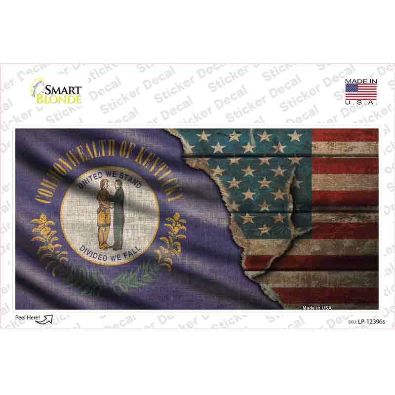 LP-12396s-M Kentucky & American Flag Novelty Sticker Decal - Medium