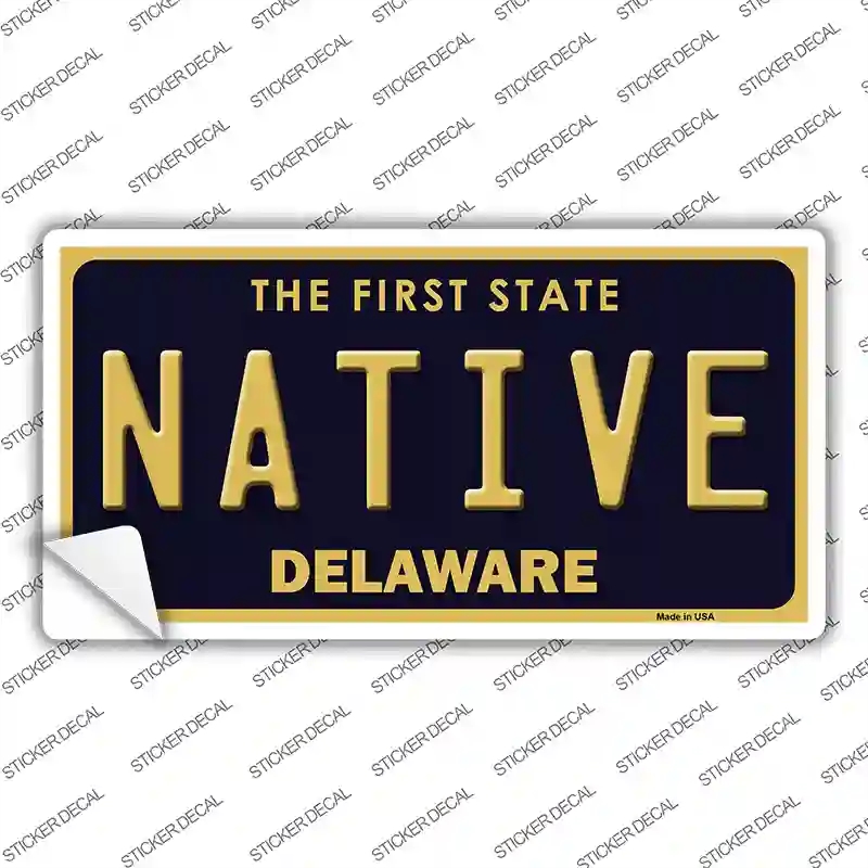 LP-6727s-L Native Delaware Novelty Sticker Decal - Large