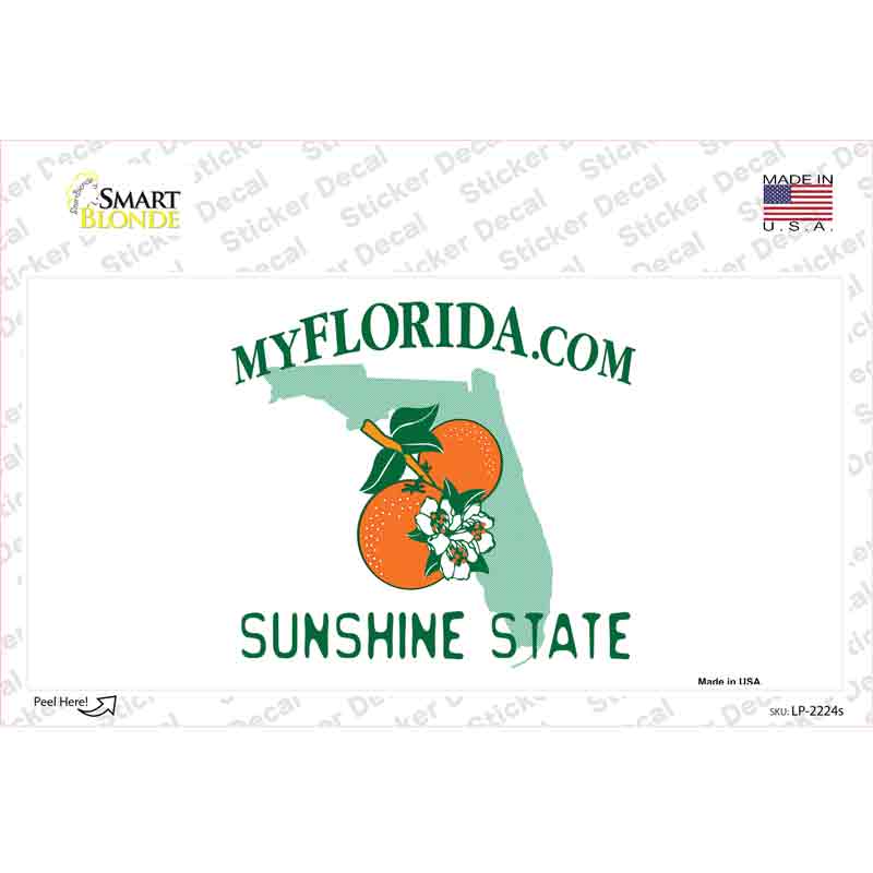 LP-2224s-M Florida State Blank Novelty Sticker Decal - Medium