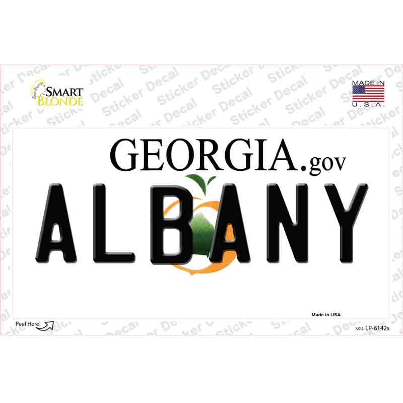 LP-6142s-M Albany Georgia Novelty Sticker Decal - Medium