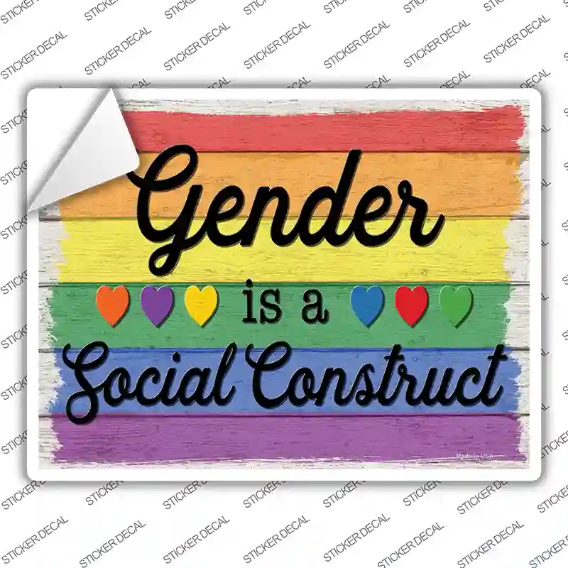 P-3867s-S Gender is A Social Construct Novelty Rectangle Sticker Decal - Small