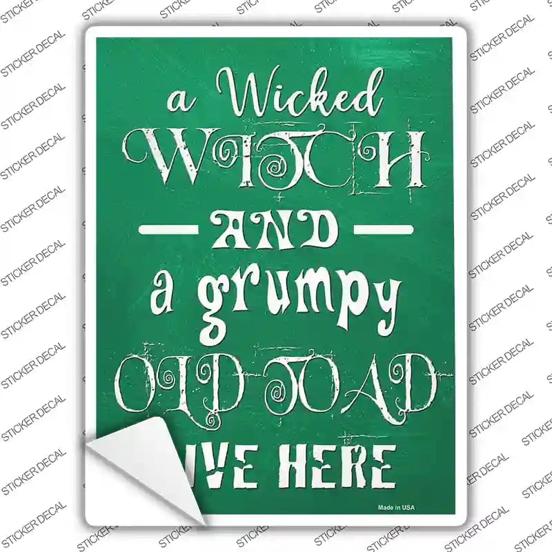 P-3192s-XL Wicked Witch & Grumpy Toad Novelty Rectangle Sticker Decal - Extra Large
