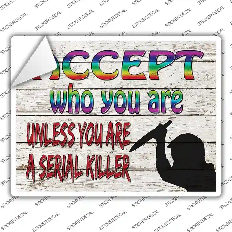 P-3108s-L Accept Who You Are Novelty Rectangle Sticker Decal - Large