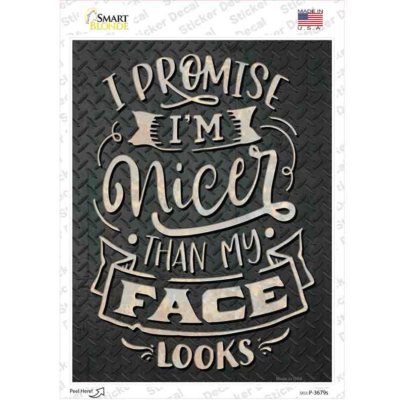 P-3679s-M Nicer Than My Face Looks Novelty Rectangle Sticker Decal - Medium