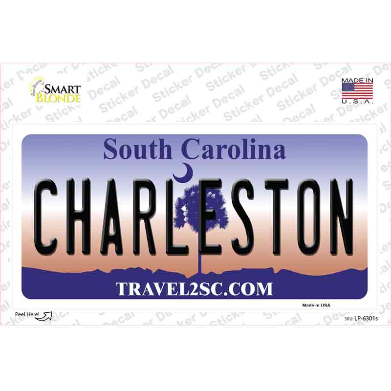 LP-6301s-M Charleston South Carolina Novelty Sticker Decal - Medium