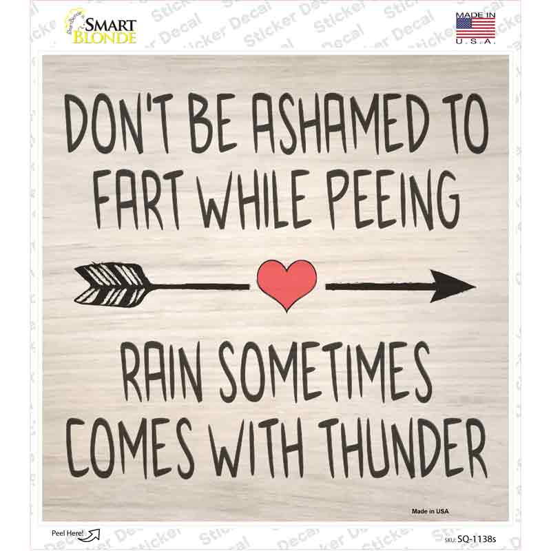 SQ-1138s-M Fart While Peeing Rain with Thunder Novelty Square Sticker Decal - Medium