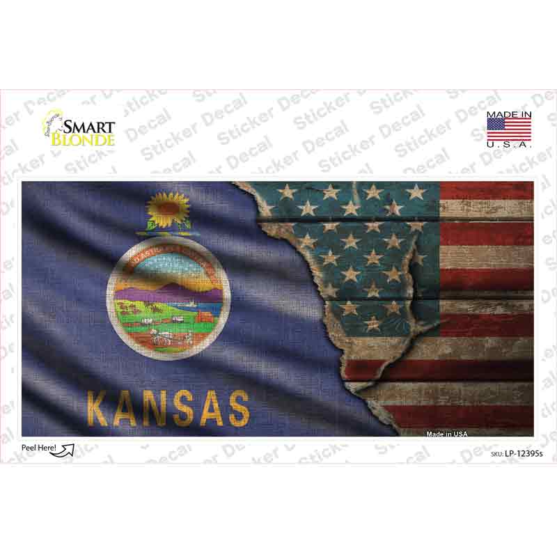 LP-12395s-M Kansas & American Flag Novelty Sticker Decal - Medium