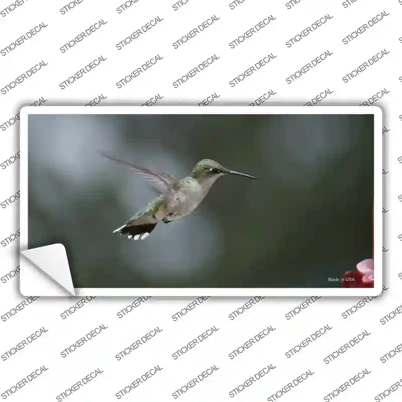 LP-11243s-S Hummingbird in Flight Novelty Sticker Decal - Small