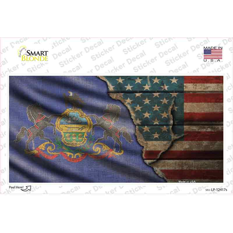 LP-12417s-M Pennsylvania & American Flag Novelty Sticker Decal - Medium