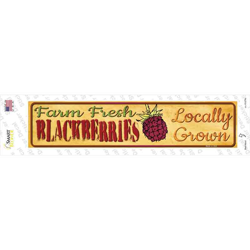 K-674s-M Farm Fresh Blackberries Novelty Narrow Sticker Decal - Medium