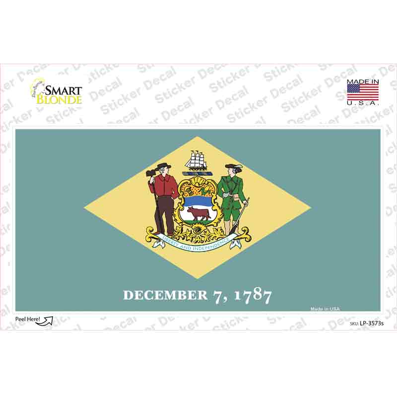 LP-3573s-M Delaware State Flag Novelty Sticker Decal - Medium