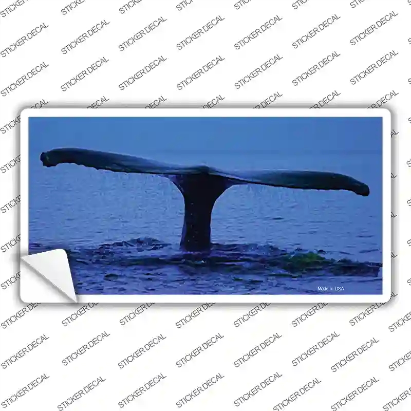 LP-555s-S Whale Tail Novelty Sticker Decal - Small