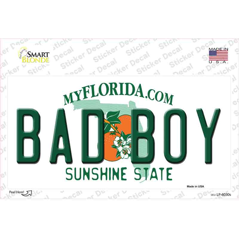 LP-6030s-M Bad Boy Florida Novelty Sticker Decal - Medium