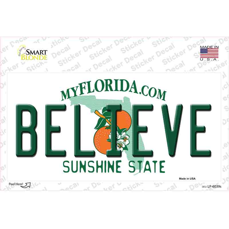 LP-6039s-M Believe Florida Novelty Sticker Decal - Medium