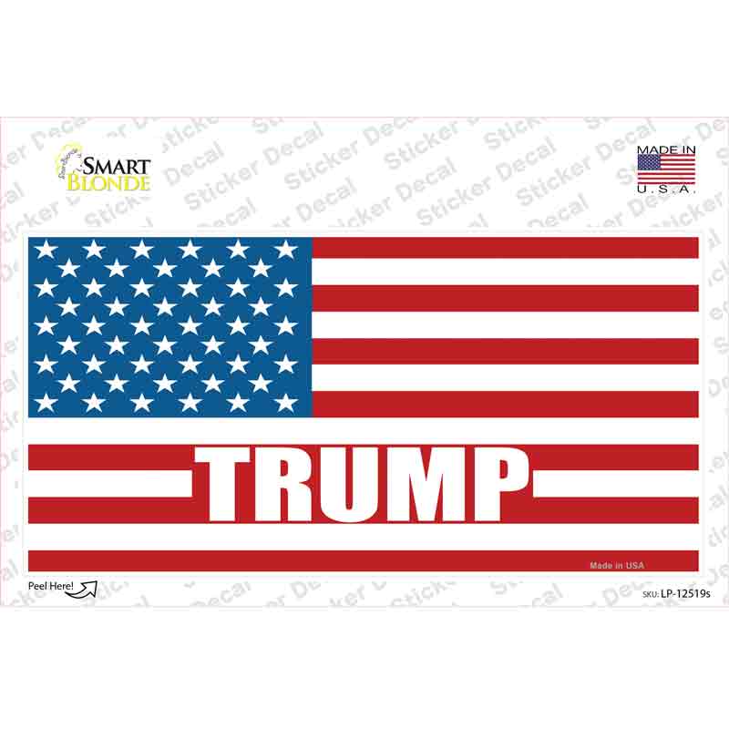 LP-12519s-M Trump American Flag Novelty Sticker Decal - Medium