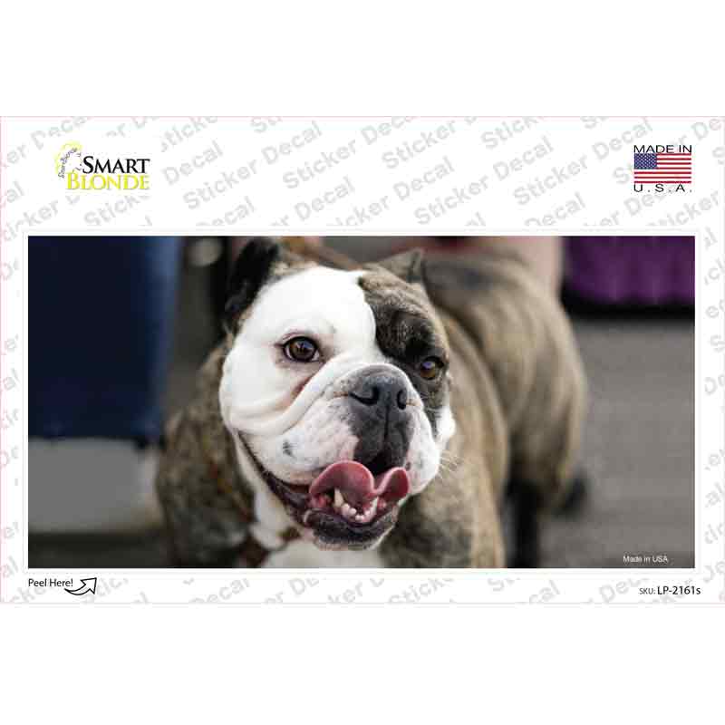 LP-2161s-M Bulldog Dog Novelty Sticker Decal - Medium