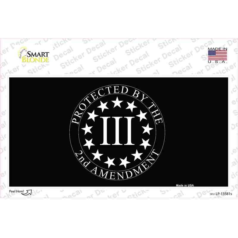 LP-13581s-M Protected by 2nd Amendment Novelty Sticker Decal - Medium