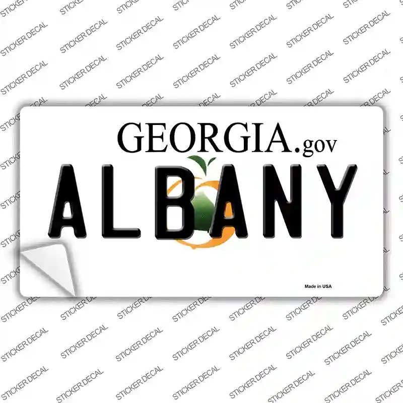 LP-6142s-L Albany Georgia Novelty Sticker Decal - Large