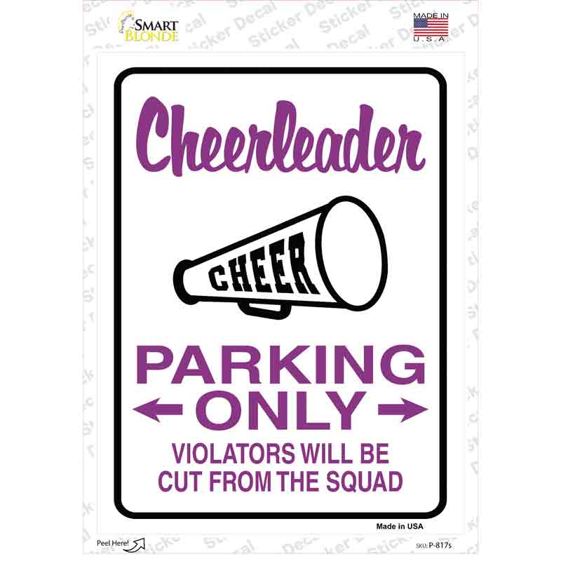 P-817s-M Cheerleader Only Novelty Rectangle Sticker Decal - Medium