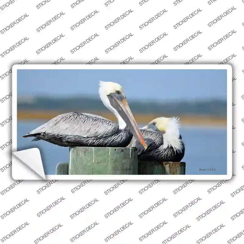 LP-11240s-S Pelican Two on Pier Novelty Sticker Decal - Small