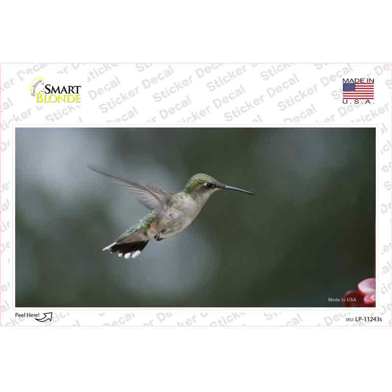 LP-11243s-M Hummingbird in Flight Novelty Sticker Decal - Medium