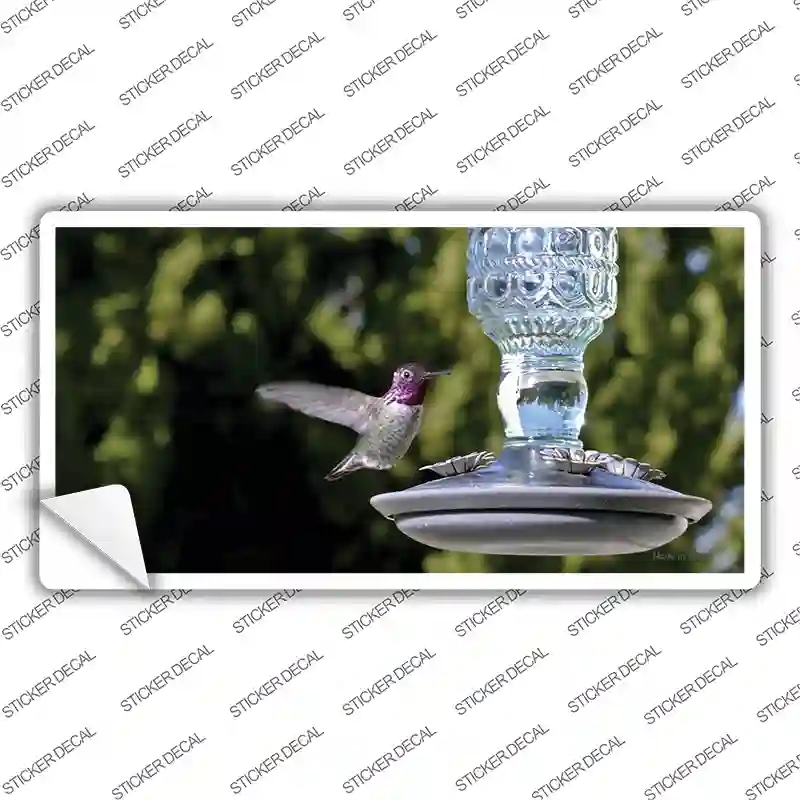 LP-11244s-XL Hummingbird At Feeder Novelty Sticker Decal - Extra Large