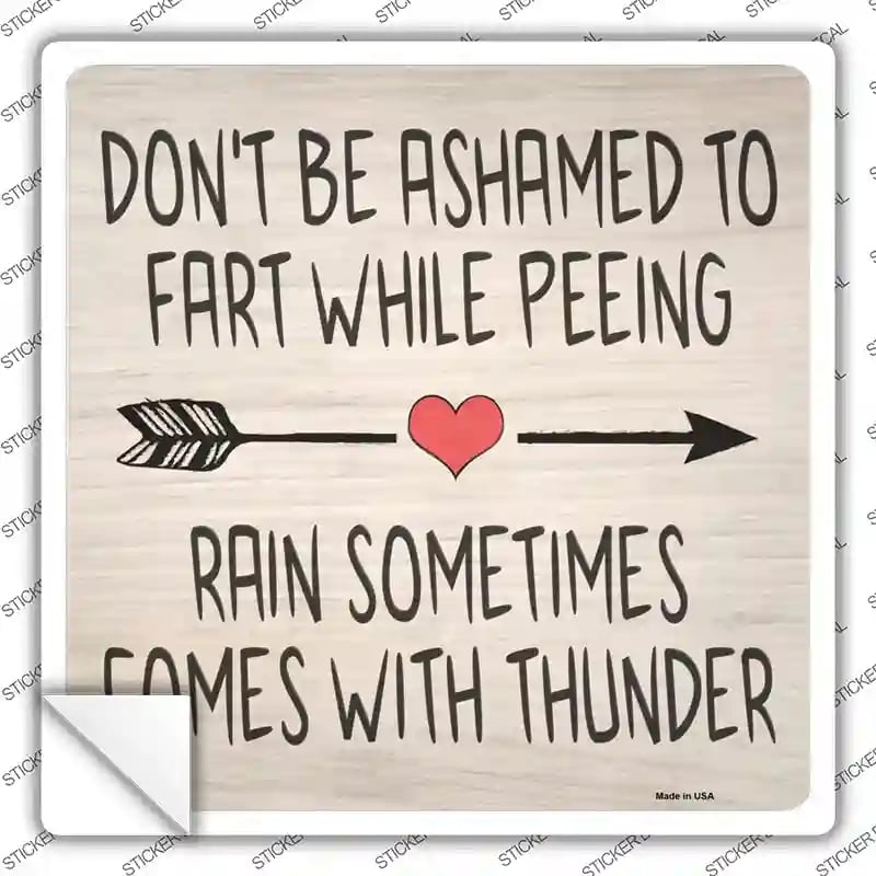 SQ-1138s-S Fart While Peeing Rain with Thunder Novelty Square Sticker Decal - Small