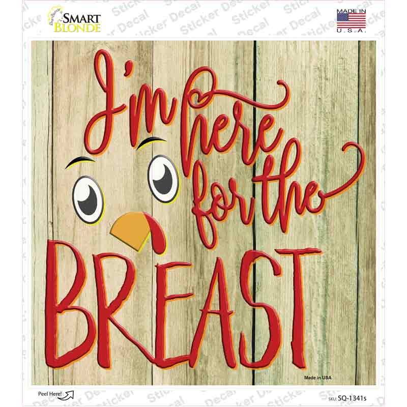 SQ-1341s-M Im Here for the Breast Novelty Square Sticker Decal - Medium
