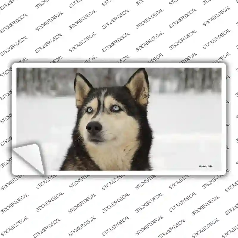 LP-2172s-L Husky Dog Novelty Sticker Decal - Large