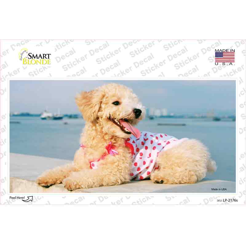 LP-2176s-M Poodle Dog Novelty Sticker Decal - Medium