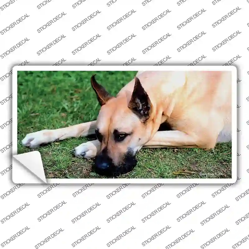 LP-2171s-L Great Dane Dog Novelty Sticker Decal - Large