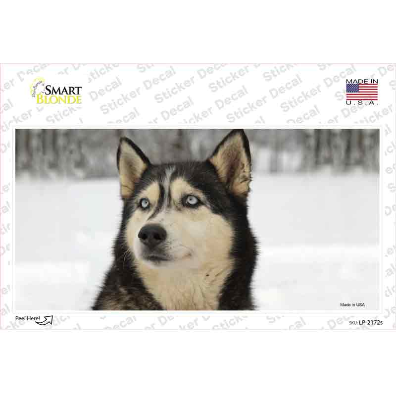 LP-2172s-M Husky Dog Novelty Sticker Decal - Medium