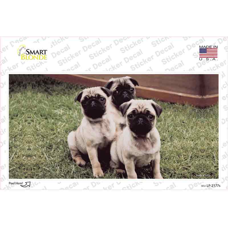 LP-2177s-M Pug Dog Novelty Sticker Decal - Medium