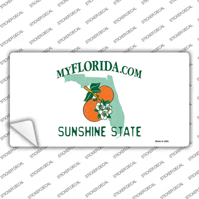 LP-2224s-S Florida State Blank Novelty Sticker Decal - Small