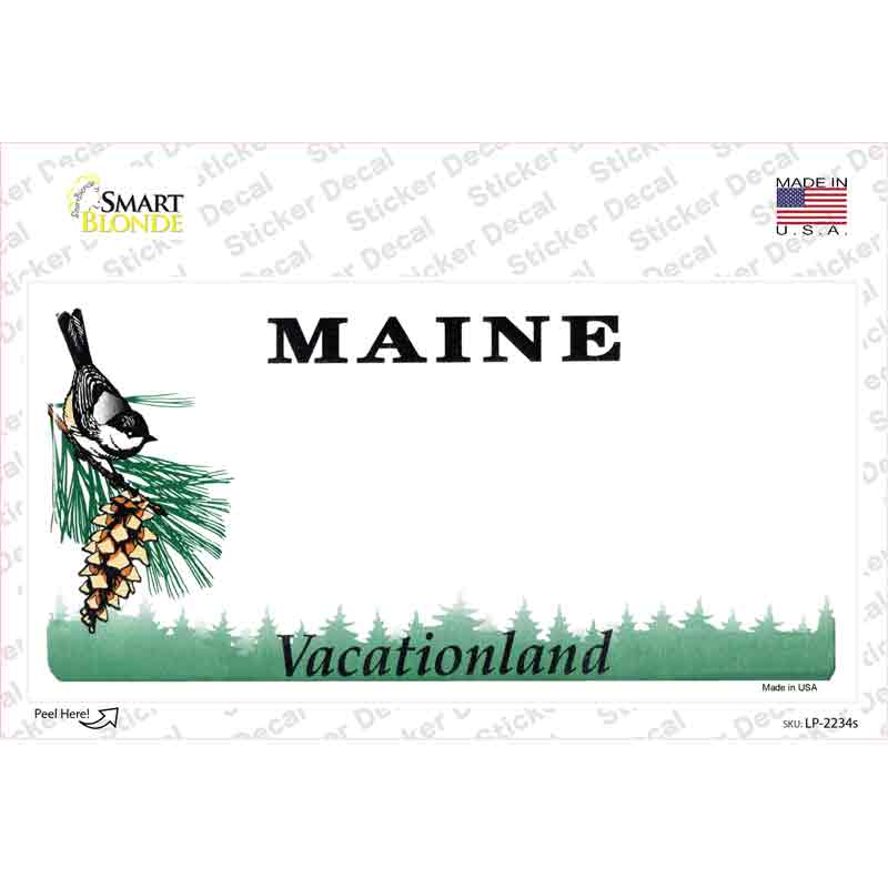 LP-2234s-M Maine State Blank Novelty Sticker Decal - Medium