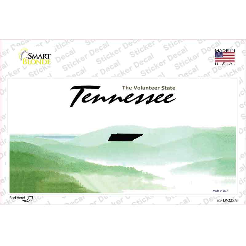 LP-2257s-M Tennessee State Blank Novelty Sticker Decal - Medium