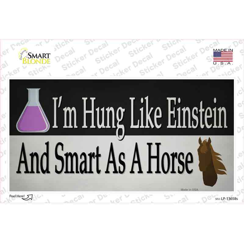LP-13658s-M Hung Like Einstein Novelty Sticker Decal - Medium