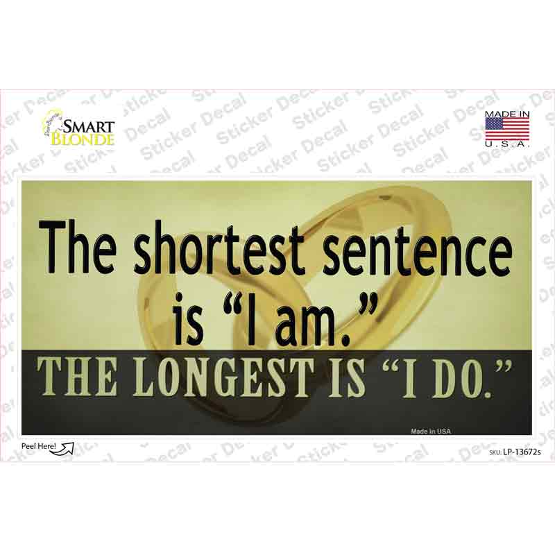 LP-13672s-M Longest Sentence I Do Novelty Sticker Decal - Medium