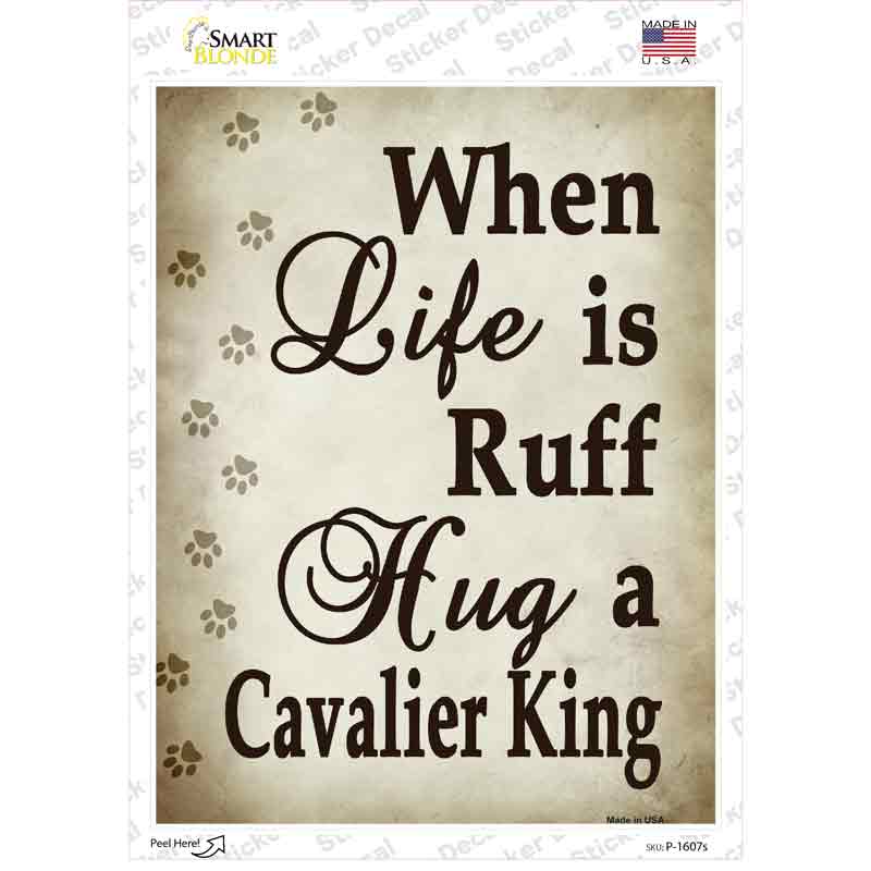 P-1607s-M Hug A Cavalier King Novelty Rectangle Sticker Decal - Medium
