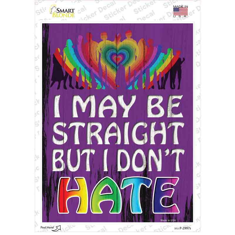 P-2997s-M Straight But Dont Hate Novelty Rectangle Sticker Decal - Medium