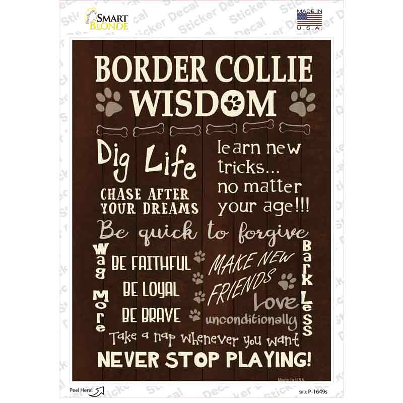 P-1649s-M Border Collie Wisdom Novelty Rectangle Sticker Decal - Medium