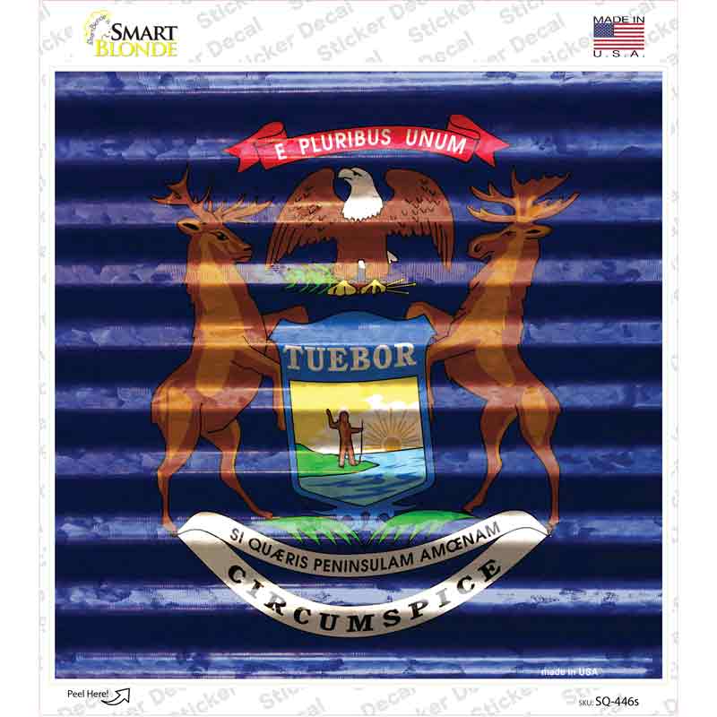 SQ-446s-M Michigan Flag Corrugated Effect Novelty Square Sticker Decal - Medium