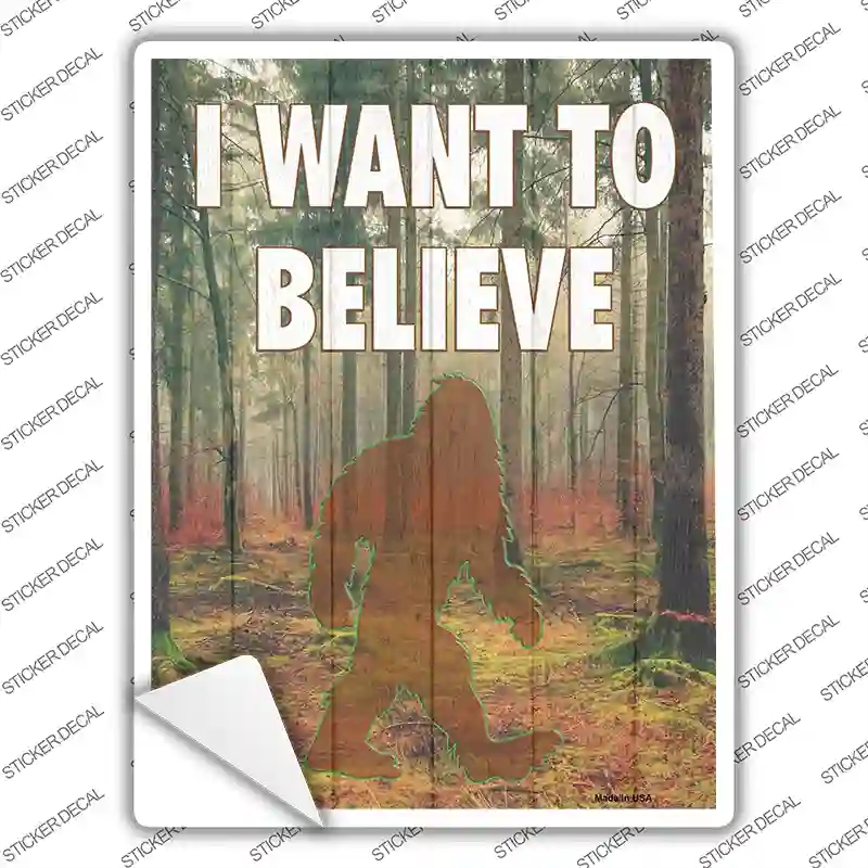 P-3448s-XL I Want to Believe Novelty Rectangle Sticker Decal - Extra Large