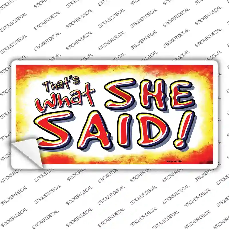 LP-8644s-S Thats What She Said Novelty Sticker Decal - Small