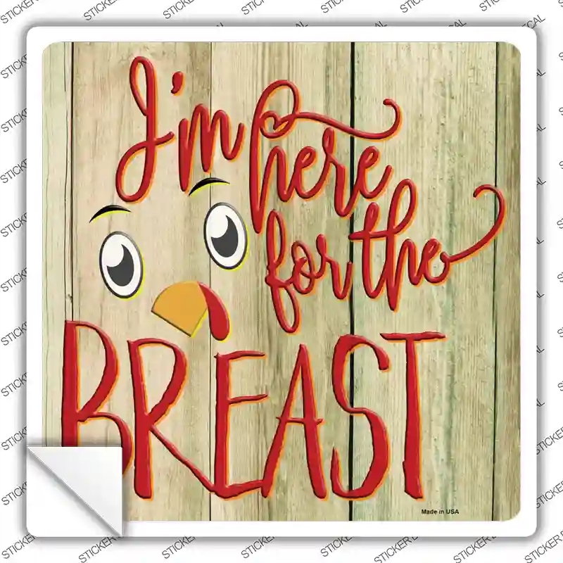 SQ-1341s-L Im Here for the Breast Novelty Square Sticker Decal - Large