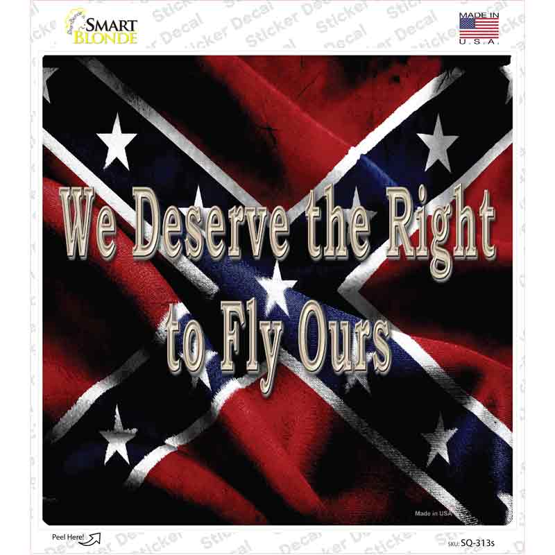 SQ-313s-M We Deserve the Right Novelty Square Sticker Decal - Medium